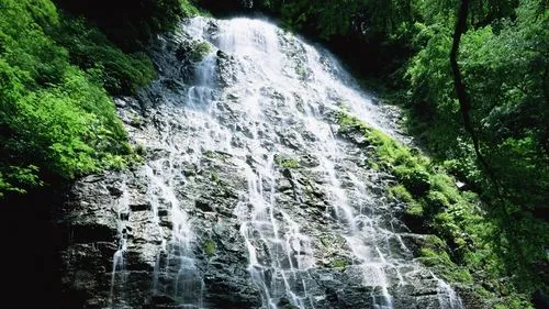 高精度高效电子